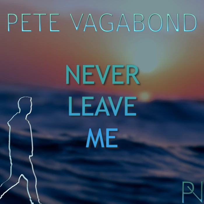 Album cover for Never Leave Me